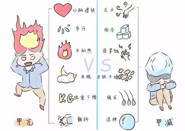 韦德网站-(中国)有限责任韦德网站
